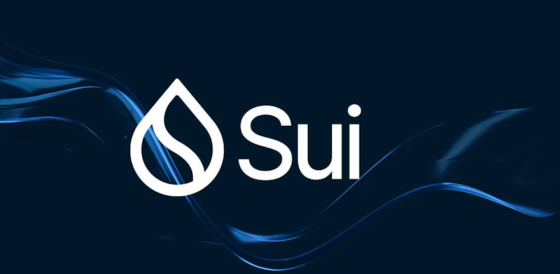 SUI 支持激增：乘风破浪还是面临灭顶之灾？